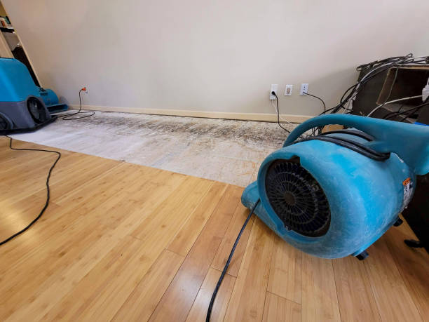 Professional Water Removal technician working in Wheelersburg, OH